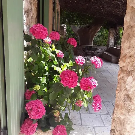 Mas De L'ile 3* Avignon