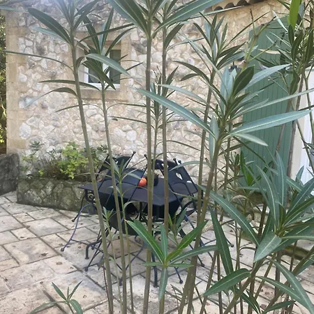 Mas De L'ile Avignon